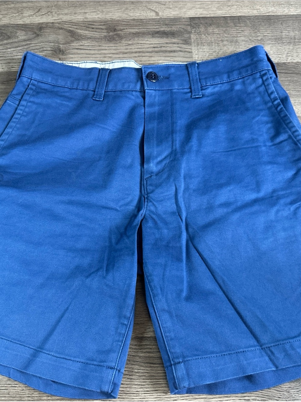 American Eagle Outfitters Men's Royal Blue Flat Front Shorts
